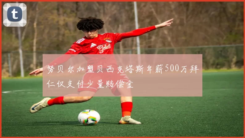 努贝尔加盟贝西克塔斯年薪500万拜仁仅支付少量赔偿金